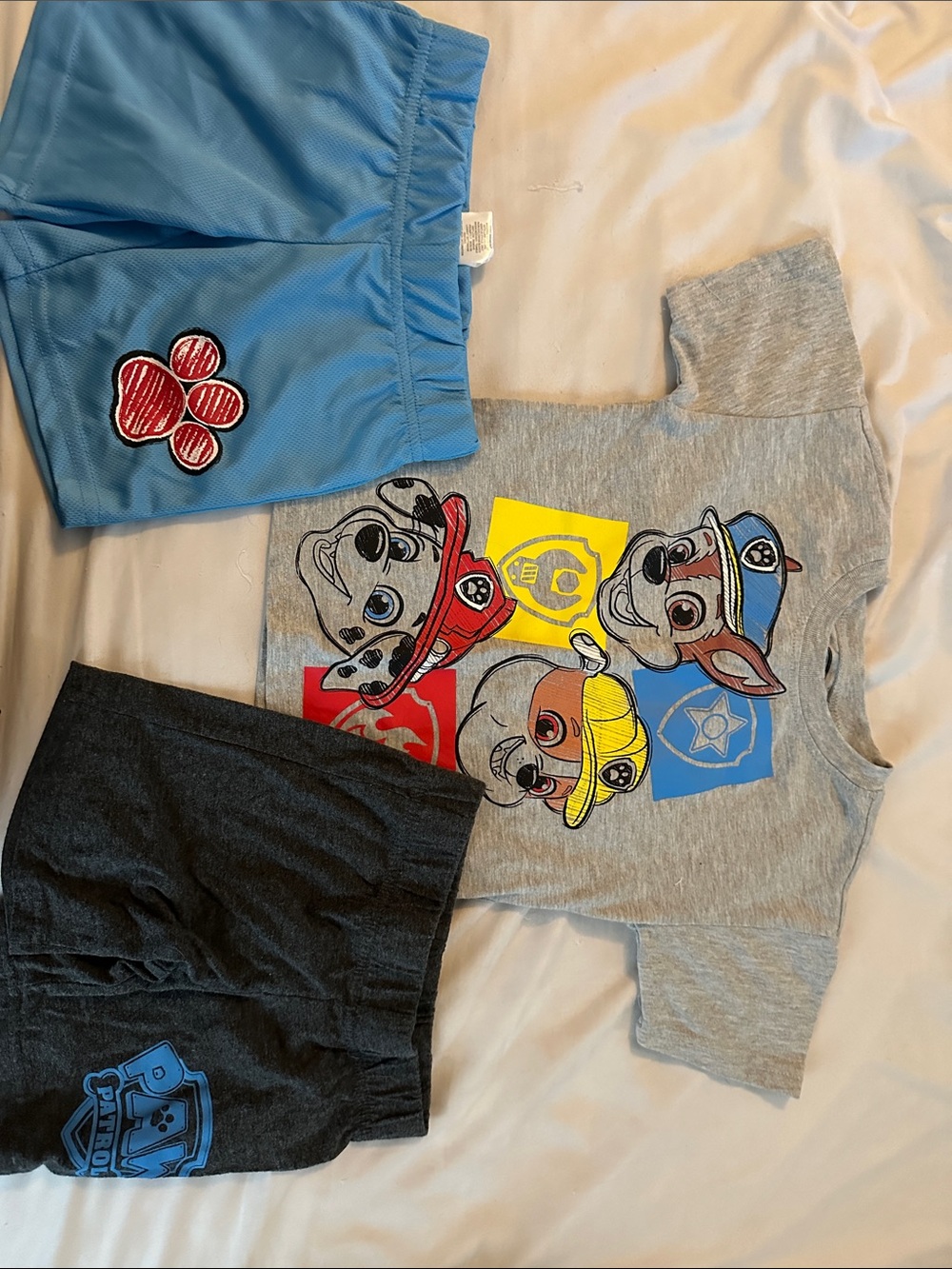 Paw Patrol Kids Tee with Blue and Gray Shorts Set